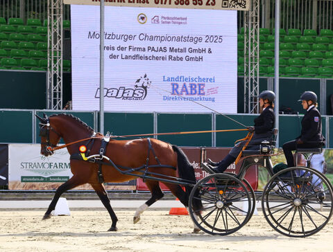 Bundeschampionat Moritzburg