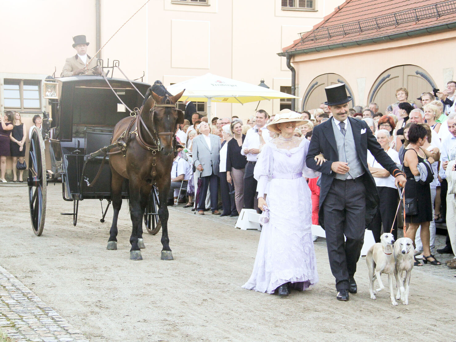 VENEZIANO eingespannt vor dem Hansom Cab - Fahrer: GOW Falk Schütze